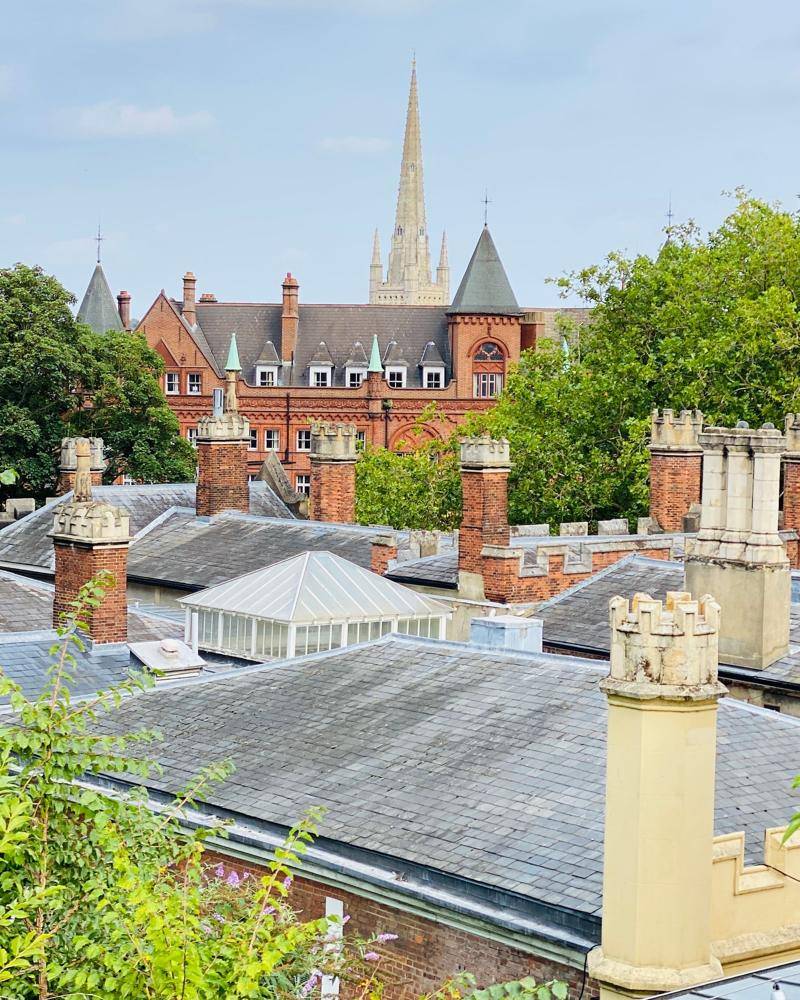 Rooftops and chimneys of brick houses in Norwich with the cathedral spire rising behind the trees